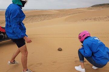 Essaouira: Quad dunes beaches ride (free transfer).