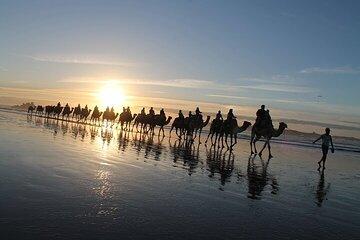Essaouira: 2H/ Quad + 2H/ Dromedary free transfer