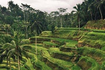 Day Tour with Sunrise and waterfall