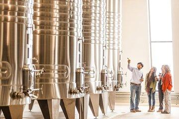 Unveiling Cafayate: Premium Wine Road Adventure