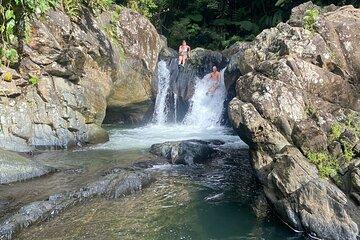 Half-Day El Yunque Rainforest Tour from Fajardo