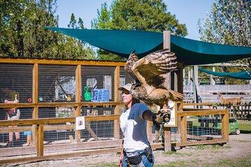 Gulf Shores, Orange Beach Area Multi-Attraction Pass