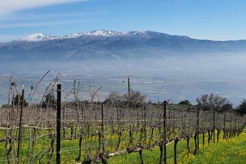 Full-Day Upper Galilee Wineries Tour With a Local Sommelier