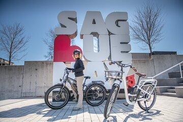 E-bike Rental - 3 hour along the shoreline Bike Path