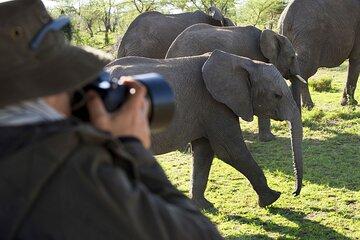 5 Days Tanzania Safari to Serengeti and Ngorongoro Crater