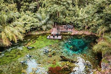 Floating in the Nascente Azul