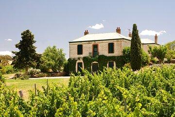 The Florita Wine Tasting Experience