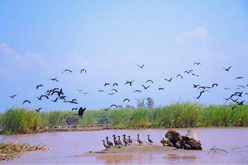 Bujumbura City Small Group Guided Tour: Rusizi Park and World Beach