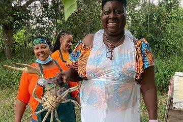 A Evening Cultural Experience Through Food Cooking Class St. Croix