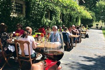 Douro: luxury walking tour with full lunch at Quinta da Pacheca