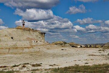 Half Day Chasing Horses Wildlife Photography Experience in North Dakota