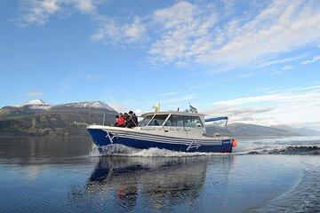 Excursion through the Beagle Channel on a Tango Yacht
