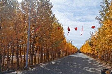 Private Full-Day Tour to Dawakun Desert from Kashgar