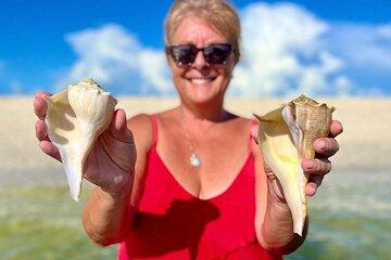 10K Islands Guided Shared Shelling Tour