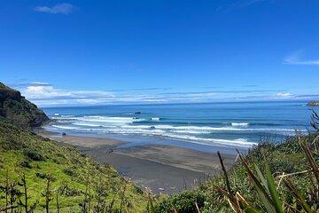 Auckland City and West Coast Black Sand Beach Full Day Tour