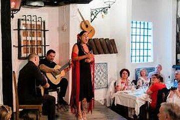 Visit Lisbon at night with dinner and Fados, on private tour