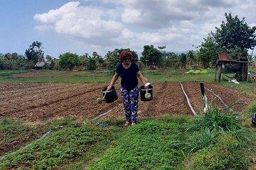 Private Tours: Kampot countryside, Pepper farm, Kep/Crab Market
