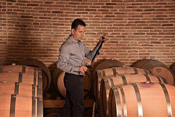 Corinth Winery Tour and Organic Fine Wine Tastings