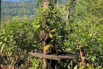 Full Day Tour to Eco Chontales Waterfall