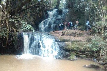 Nairobi Day Tour to Karura Forest Hike Trail Bike and Nature Walk