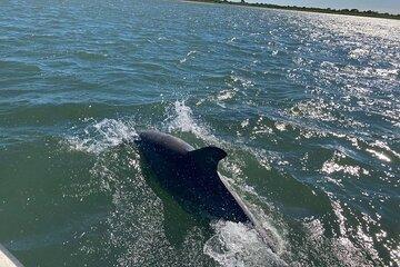 OC Bay Hopper Assateague Island Swim Cruise