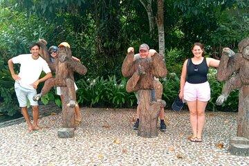 Full Day Orang Utan Sepilok, Proboscis Monkey, Sunbear, RDC
