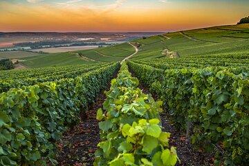 Private Transfer: Reims / Champagne to Paris Airport CDG by Van