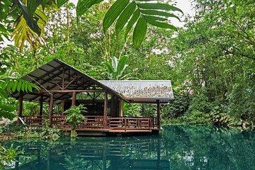 EcoTermales Hot Springs & Arenal Volcano Full Day from San José