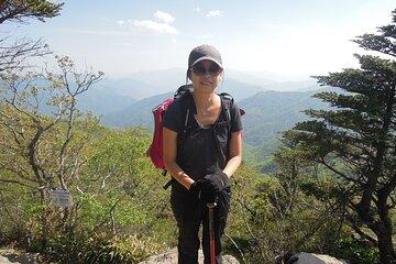 Jiri-san: Day Hike of Nogo-dan 1505m, Banya-bong 1732m and more.