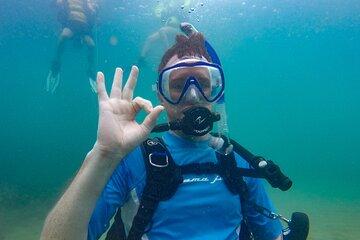 Guided Shore Diving Tour