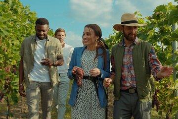 Grape Escapes Wine Full-Day Tour in Ithaca