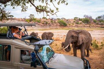 4 Days Adventure Camp Safari toTarangire Serengeti and Ngorongoro