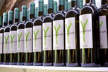Majorca Winery Visit with Wine & Local Food Tasting from East