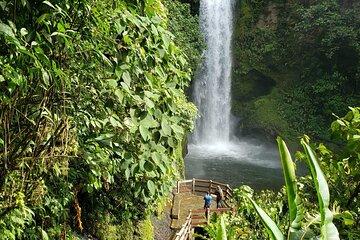 DoKa Coffee Farm & La Paz Waterfall Gardens Tour from San Jose