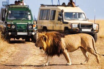 4 Day Kruger National Park Safari from Johannesburg