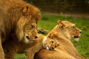 4 Days Kruger National Park with Blyde River Canyon Private Tour