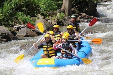 Exclusive Rafting Activity on Bali Rivers from Ubud