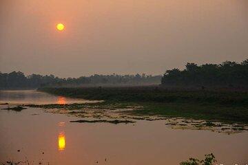 Experience the Thrill of the Wild: Chitwan Jungle Safari( 2N3D)
