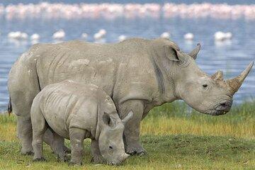 3 Day Kruger National Park Safari from Johannesburg