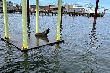 Full Tour of 4 coastal towns from Astoria to Seaside with lunch