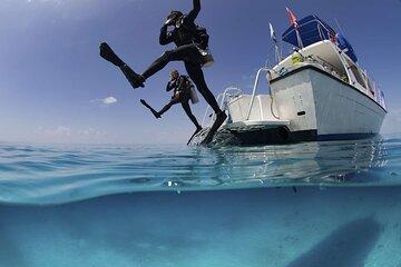 Scuba Beginner Diving and Snorkeling with Lunch From Hurghada