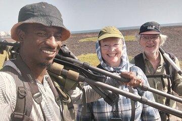 Bird Observation in Cape Verde
