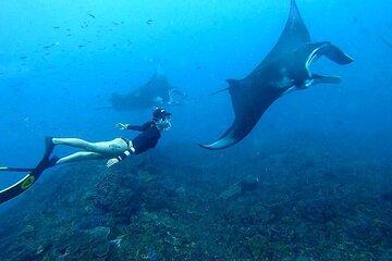 Nusa Penida Sharing Snorkeling with West Tour