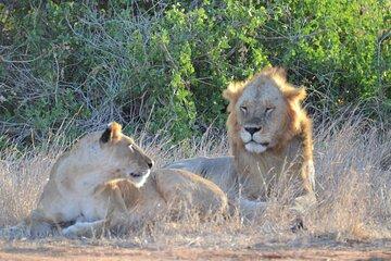 4 nights safari Tsavo and Amboseli National Park