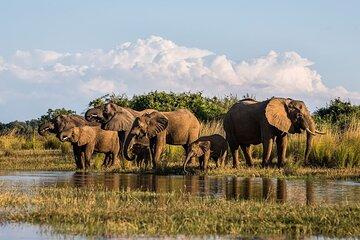 4 Days Kruger National Park Tour from Johannesburg