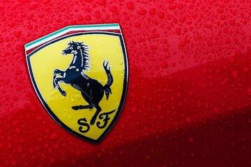 Emilia Romagna Day Trip: Ferrari Museum and Balsamic Vinegar Tour