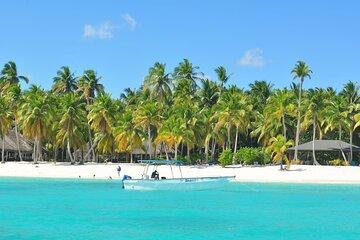 Saona Island Full-Day Tour from Boca Chica with Pickup