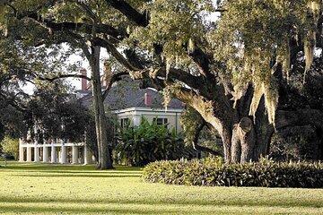 Nawlins Luxury Destrehan Plantation and Airboat Tour