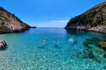 Private 6 H Boat Dafina Bay & Bear's Bay
