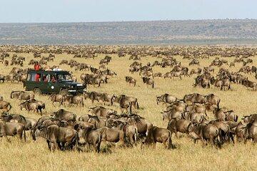 3 Days 2 Nights Maasai Mara Group Safari from Nairobi